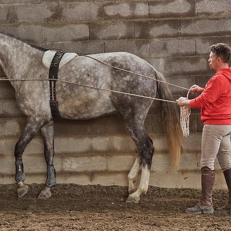 Az.Agr. Il Cavalleggero Campiglia dʼOrcia Eksteriør bilde