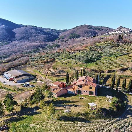 Az.Agr. Il Cavalleggero Campiglia dʼOrcia Eksteriør bilde