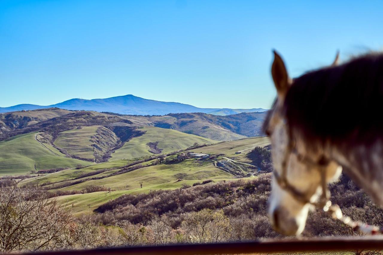 Az.Agr. Il Cavalleggero Campiglia dʼOrcia Eksteriør bilde