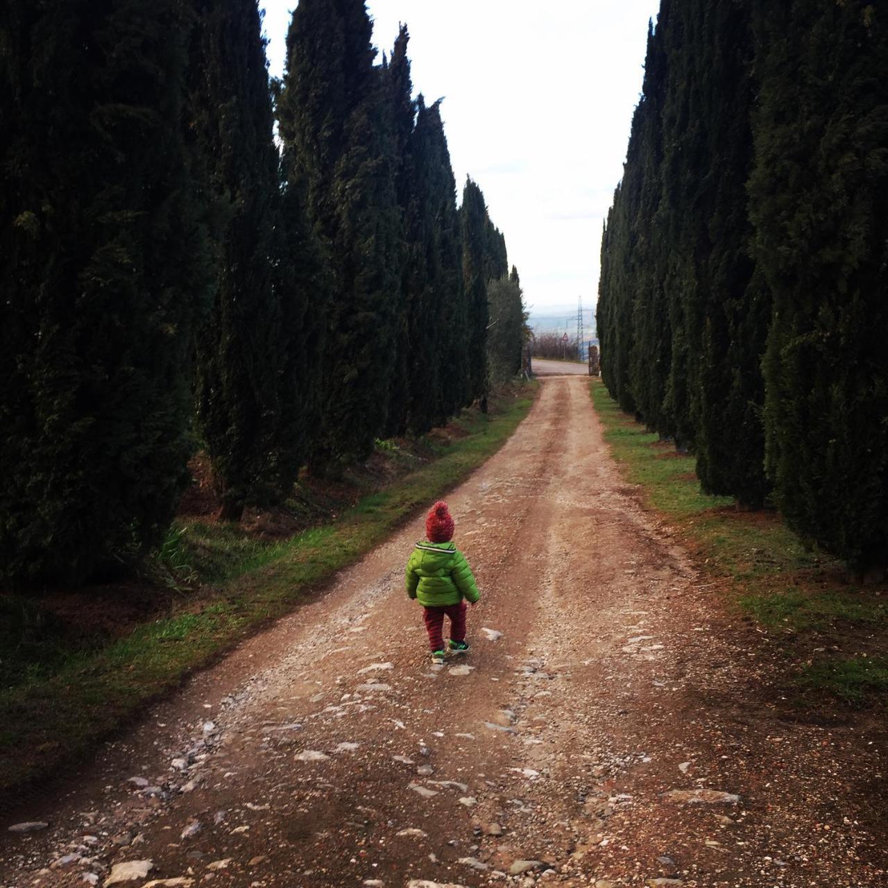 Az.Agr. Il Cavalleggero Campiglia dʼOrcia Eksteriør bilde