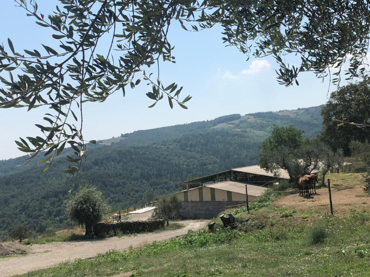 Az.Agr. Il Cavalleggero Campiglia dʼOrcia Eksteriør bilde