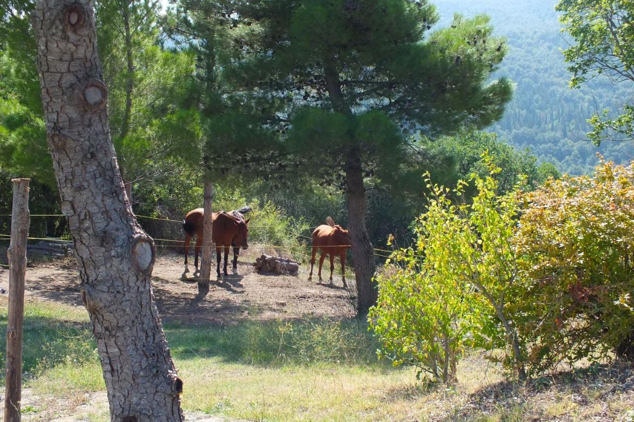 Az.Agr. Il Cavalleggero Campiglia dʼOrcia Eksteriør bilde