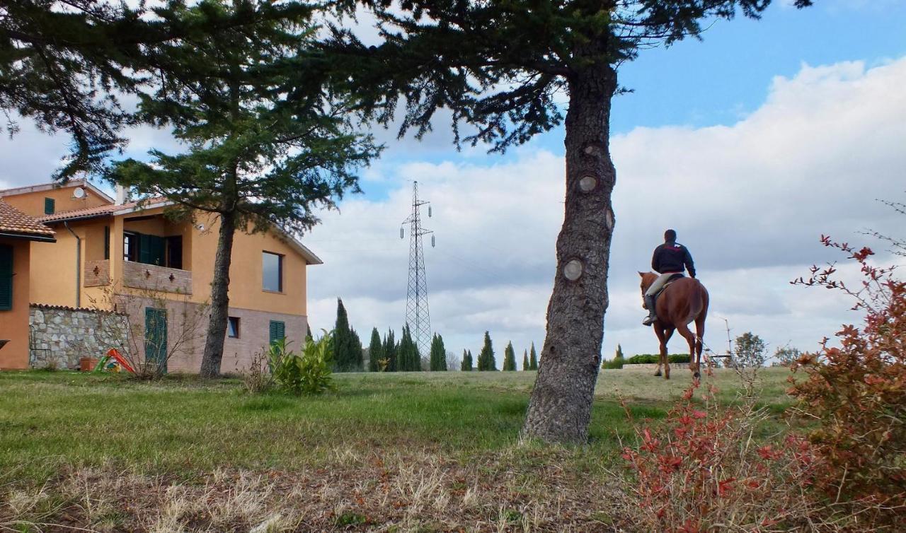 Az.Agr. Il Cavalleggero Campiglia dʼOrcia Eksteriør bilde
