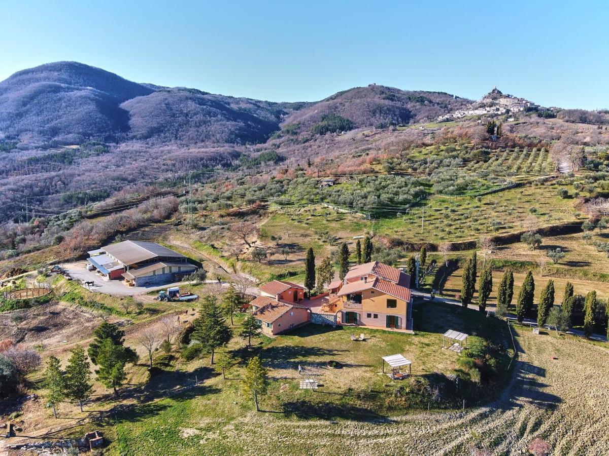 Az.Agr. Il Cavalleggero Campiglia dʼOrcia Eksteriør bilde