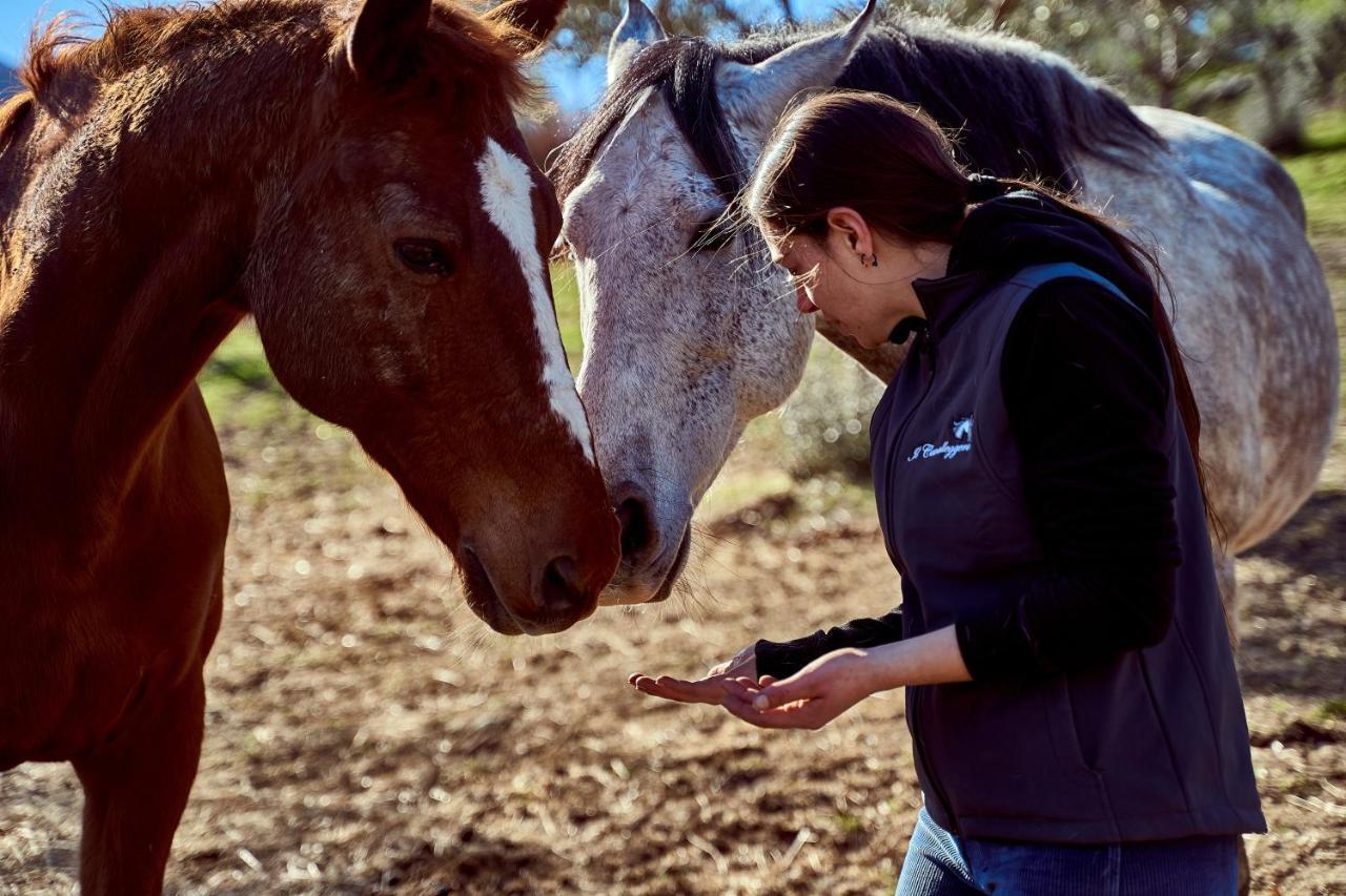 Az.Agr. Il Cavalleggero Campiglia dʼOrcia Eksteriør bilde